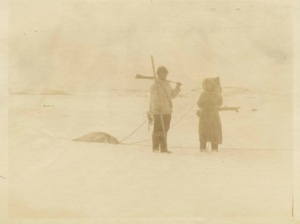 Image: Kavavou and sister [Pitseolak Ashoona] bringing in seal